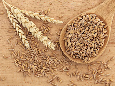 Food and Grain
